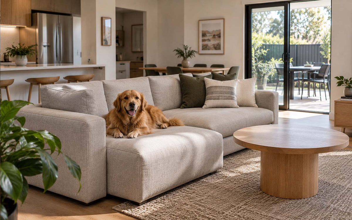 Pet-Friendly Furniture: Best Fabrics and Styles for Australian Pet Owners